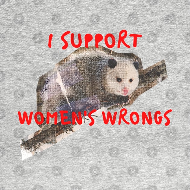 I support womens wrongs by little-axii